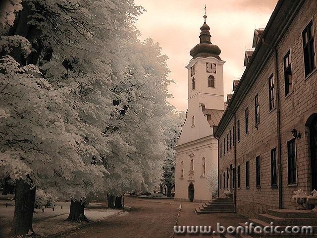 bw___City Park___Ogulin, Croatia.