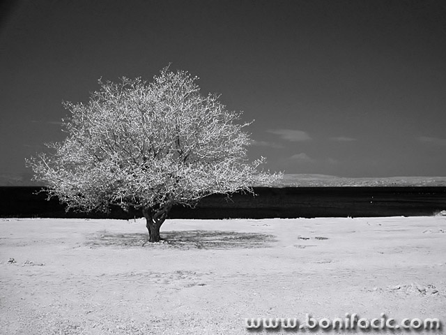 bw___Black Sea___Punat, Croatia.