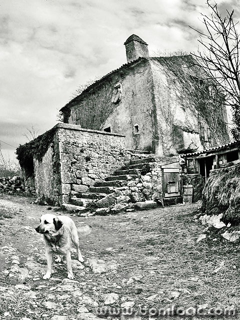 bw___Foregoing Keeper___Risika, Croatia.