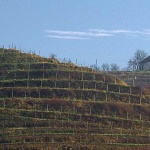 panorama___Vineyard House___Slovenia.