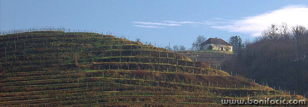 panorama___Vineyard House___Slovenia.