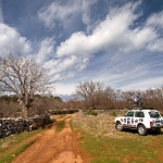 nivatrrekkampelje1mal