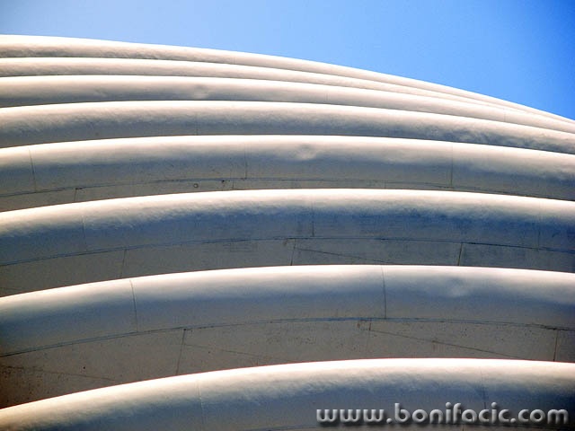 arena1mal