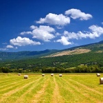 baleboljunskopolje1mal