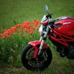 ducati1mal