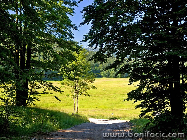 gorskikotar12mal