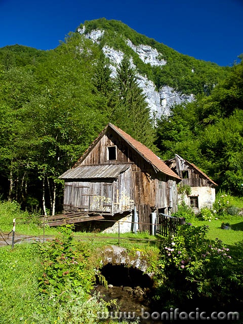 gorskikotar11mal