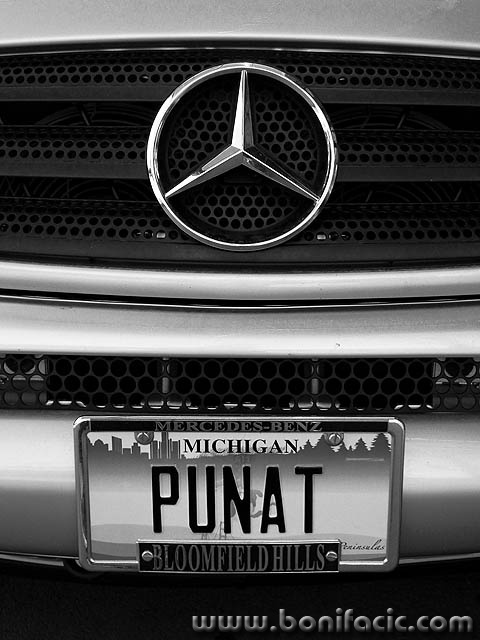 punatregmal