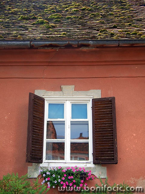 ponestra1mal