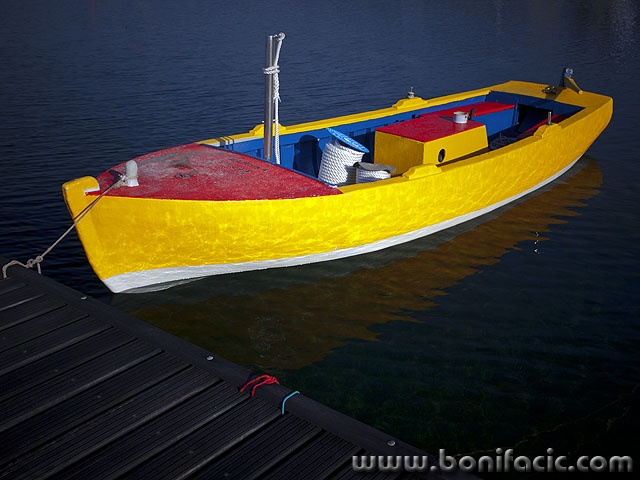 kajic1mal