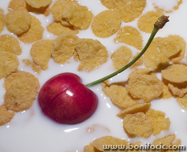 macro___Diet___