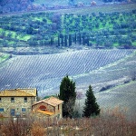 toscana12 copymal