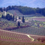 toscana16 copymal