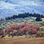 toscana17 copymal