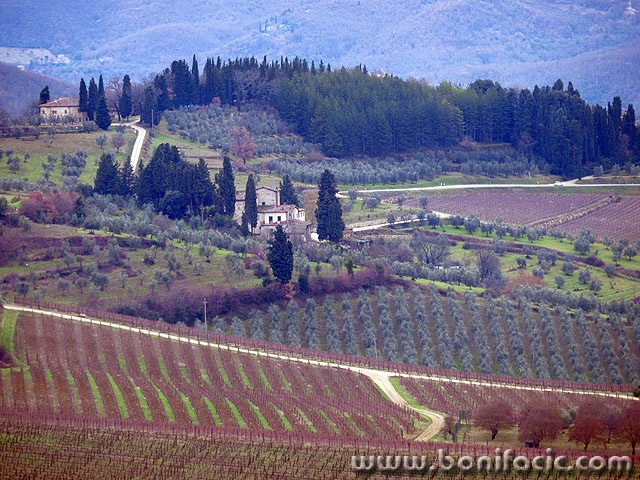 toscana16 copymal
