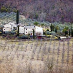 toscana20 copymal