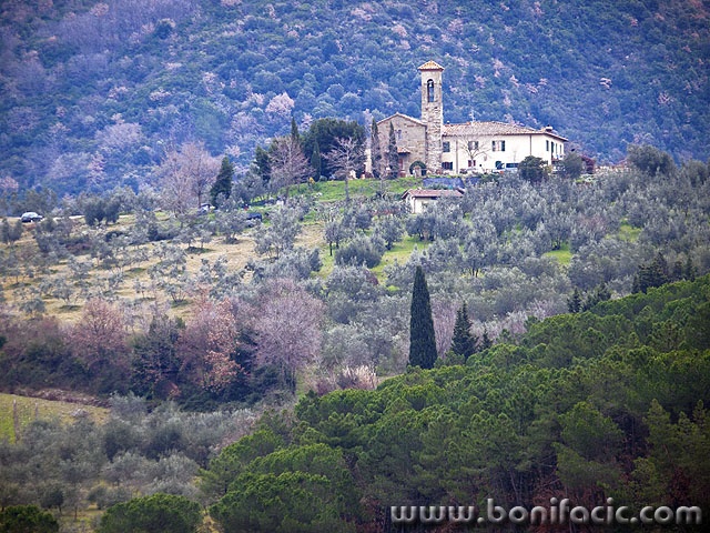 toscana6 copymal