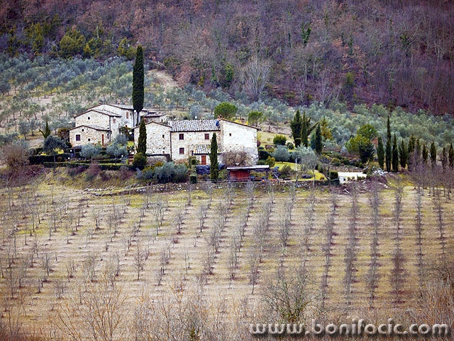 toscana20 copymal