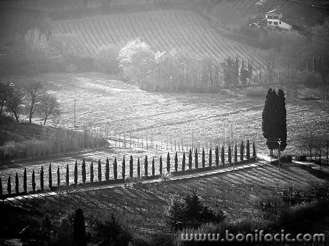 toscana29 copymal