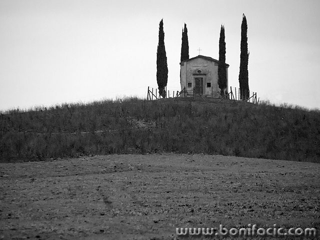 toscana46 copymal