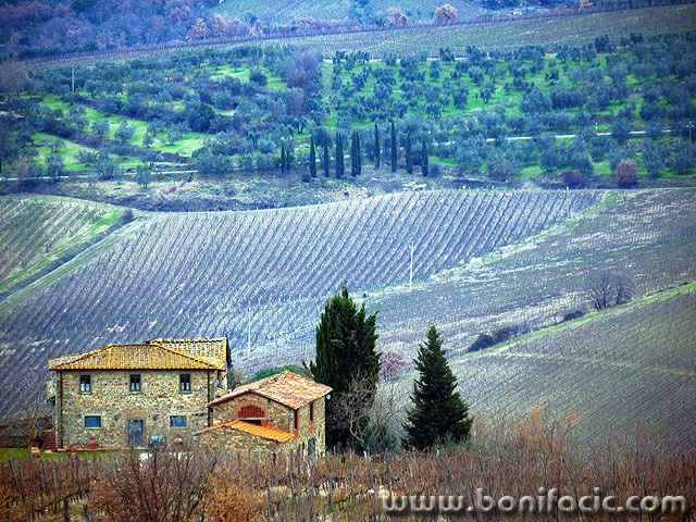toscana12 copymal