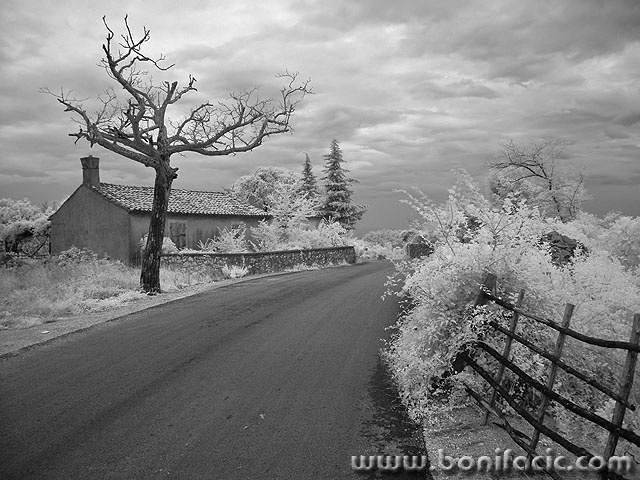 bw___Stormy Summer Day___Kras, Croatia.