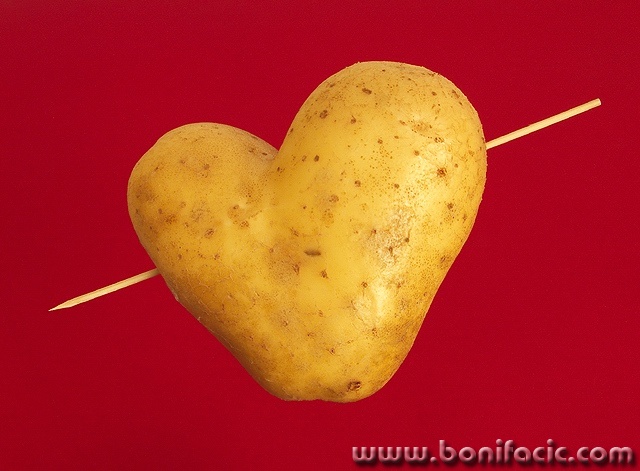 macro___Amor___