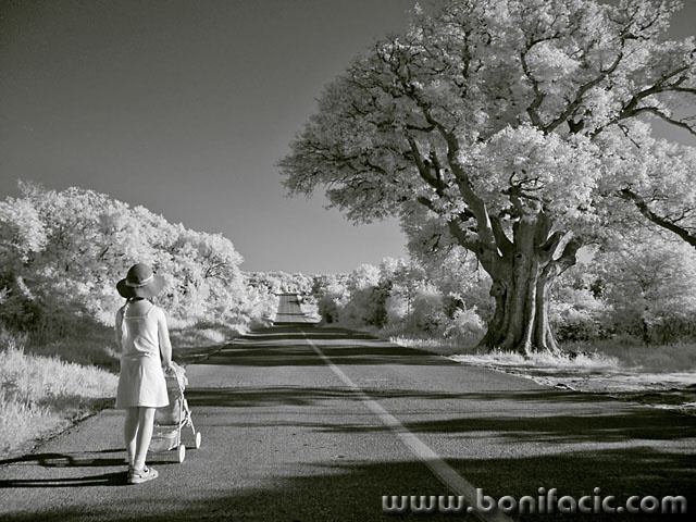 bw___Nanny___Vrbnik, Croatia.