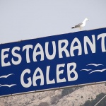 frestorangaleb1 copymal