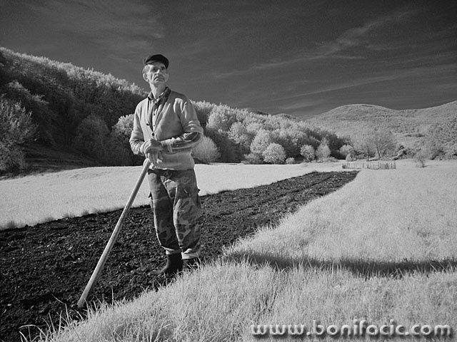 bw___Hunt Out___Matesic Pod, Croatia.