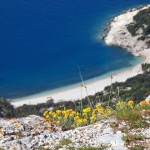 lubeniceplaza1 copymal