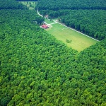 aerokunjevci9 copymal