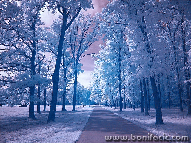 vinkovciinfrared2 copymal