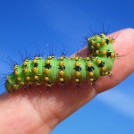 macro___Line Of March___