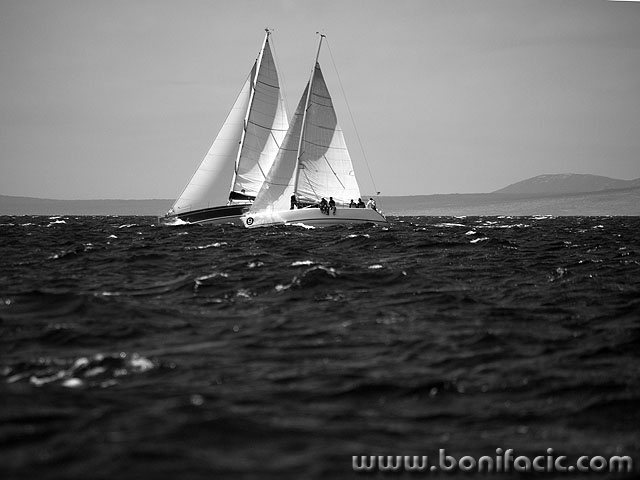 regata26 copymal