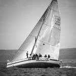 regata34 copymal