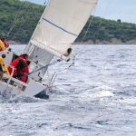 regata6 copymal