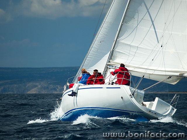 regata11 copymal