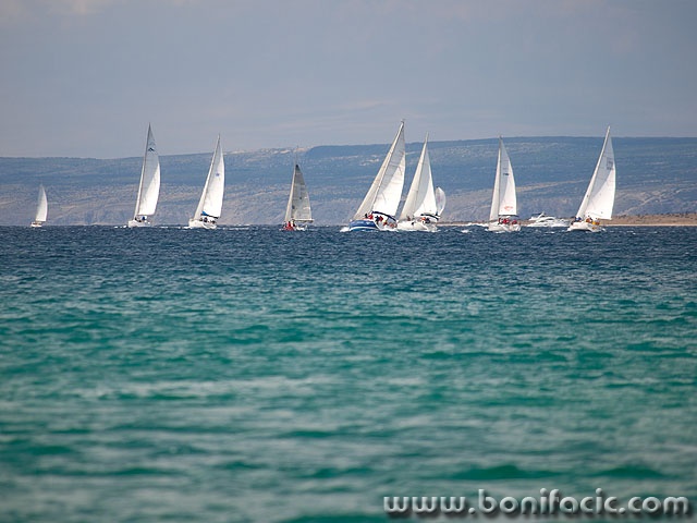 regata40 copymal