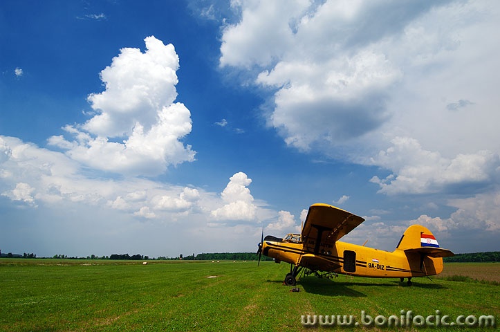 avion2 copymal