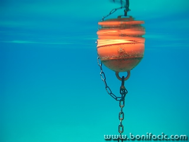 stilllife___Bova___Stara Baska, Croatia.