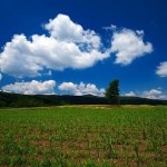 stablooblaci1 copymal