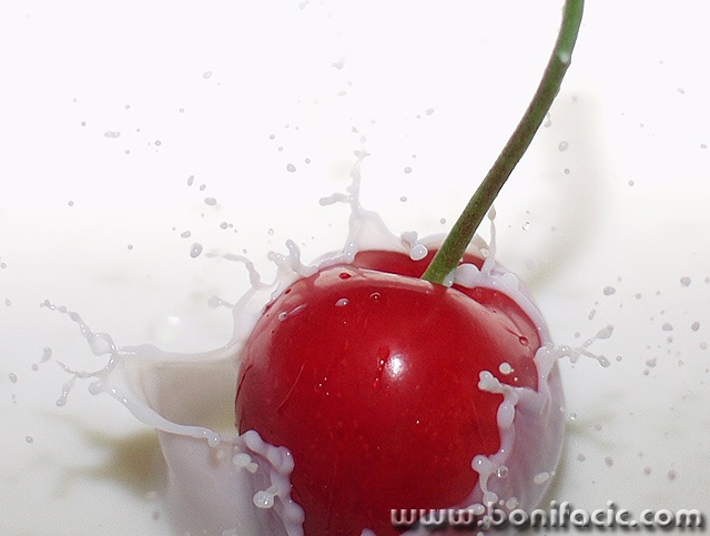 macro___Milk Bath___