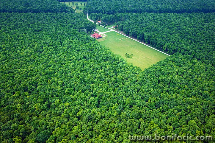 aerokunjevci9 copymal