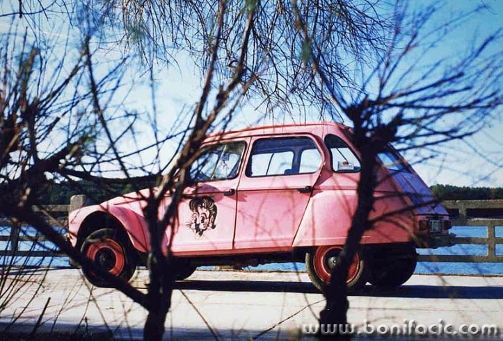 dyanepink
