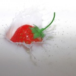 macro___Red Vault___