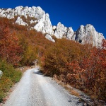 velebit1 copymsl