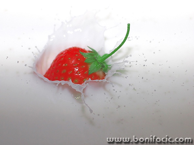 macro___Red Vault___