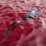 digital___Red Sea Diver___Senj, Croatia.