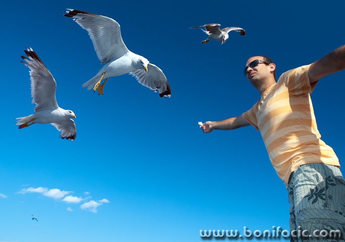 galeb001mal